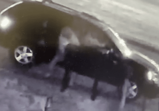 STOP MAIL THEFT Youtuber Joan J. Wills captured this footage of a would be mail thief attempting to steal her mail. Luckily she thought ahead, and installed one of our theft proof mailboxes! The prowler took one look at the package master and turned tail and ran. If you're still on the fence about buying one of our vandal proof mailboxes, you don't have to take our word for it the proof is in the protection, do yourself a favor and get your Mail Boss locking security mailbox today!